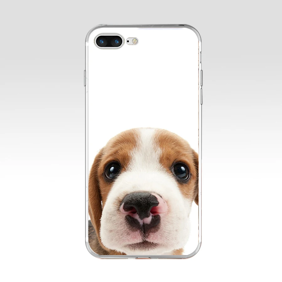 52AQ Beagle Собака Щенок Мягкий ТПУ силиконовый чехол для Apple iPhone 6 6s 7 8 plus