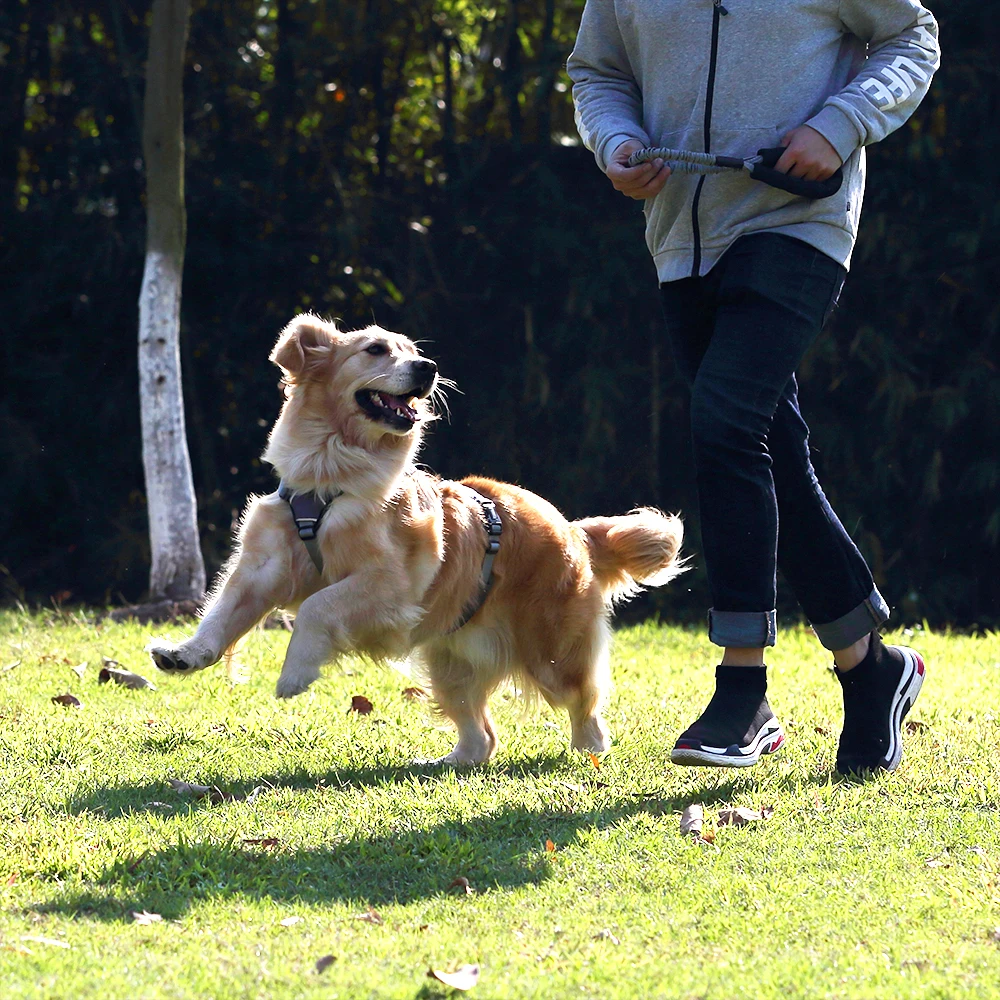 Светоотражающая нейлоновая шлейка для больших собак жилет с ручкой