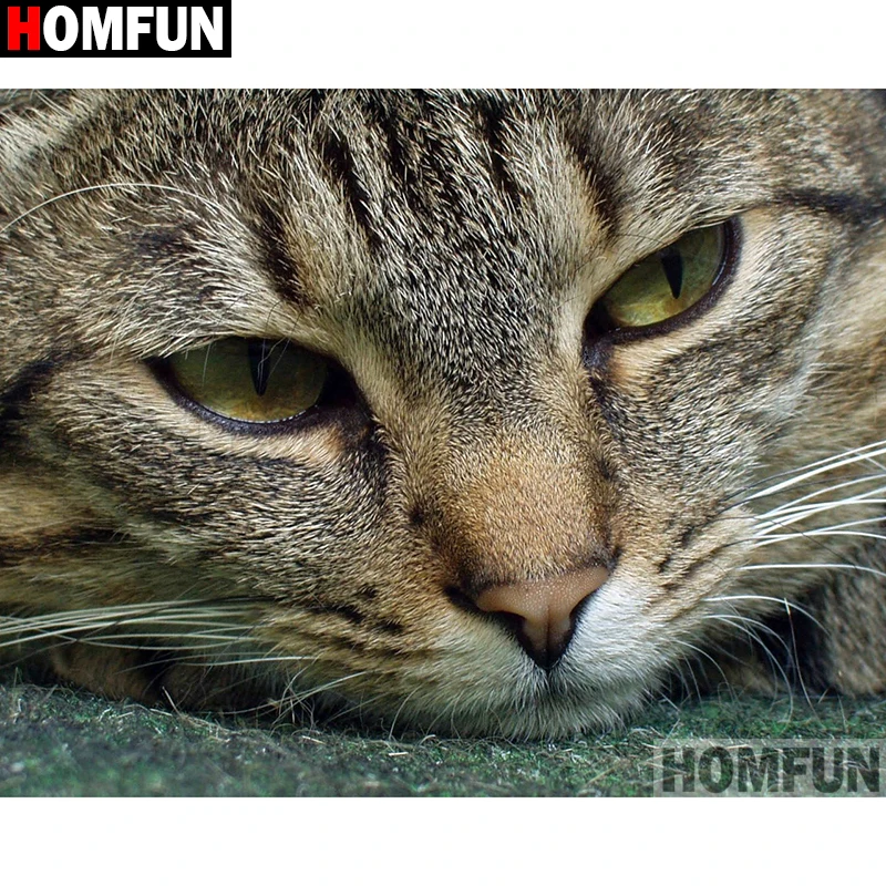 

Алмазная 5D Вышивка HOMFUN «Кот», картина из квадратных/круглых страз «сделай сам», вышивка крестиком, A07720