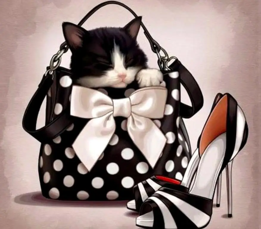 

Full Square/Round Drill 5D DIY Diamond Painting "Cat shoes" 3D Embroidery Cross Stitch 5D Decor Gift