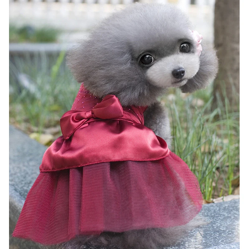 Милое платье принцессы для собак щенков свадебное кружевное одежда с бантом