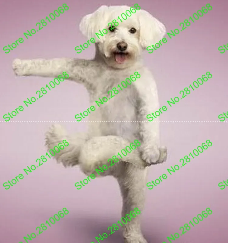 Make EVA материал шлем гимнастика собака талисманы костюмы мультфильм одежда День