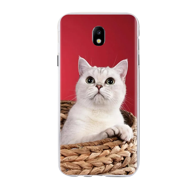Для samsung Galaxy J7 силиконовый чехол ТПУ задняя крышка для samsung Galaxy J6 J3 J2 J4 чехол КРЫШКА ДЛЯ samsung J8 чехол
