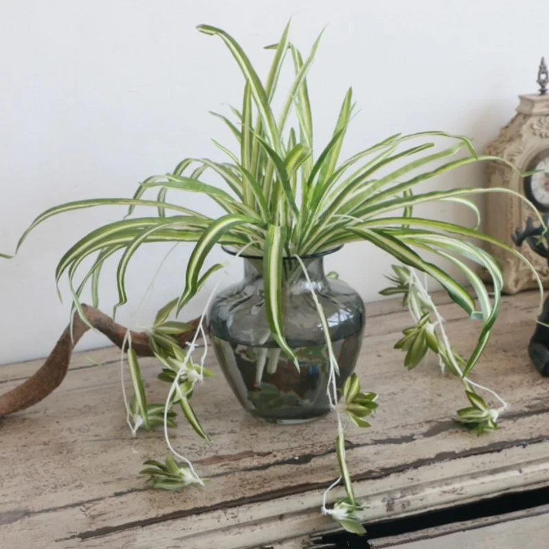 1 шт. Chlorophytum Comosum искусственная зелень домашний декор для отеля искусственный паук растение