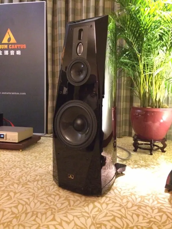 Aurum Cantus Бог 8 12 дюймов громкоговоритель AC300 НЧ динамик СЧ AC165/DC50SC твитер G2