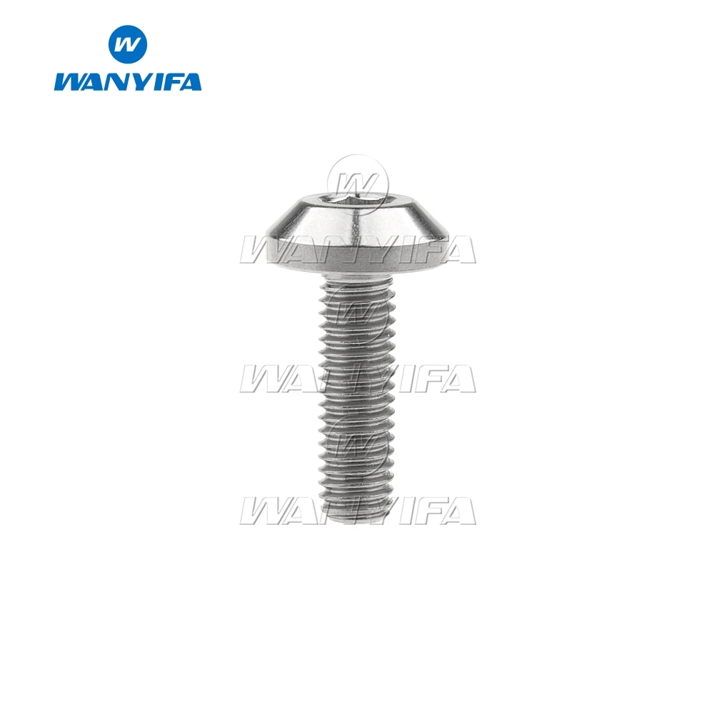 Серебристый Титановый "Wanyifa" Ti M8 x 15 15 20 25 30 35 40 мм шестигранный ключ с конической головкой Болт Винт для велосипеда мотоцикла тормоза - Цвет: Серебристый