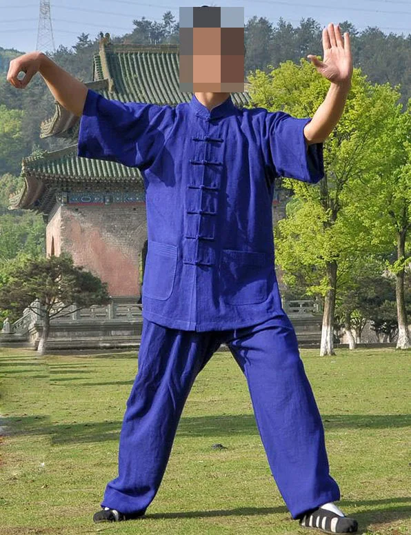 17 видов цветов льняные летние костюмы унисекс с коротким рукавом Wudang tai chi одежда