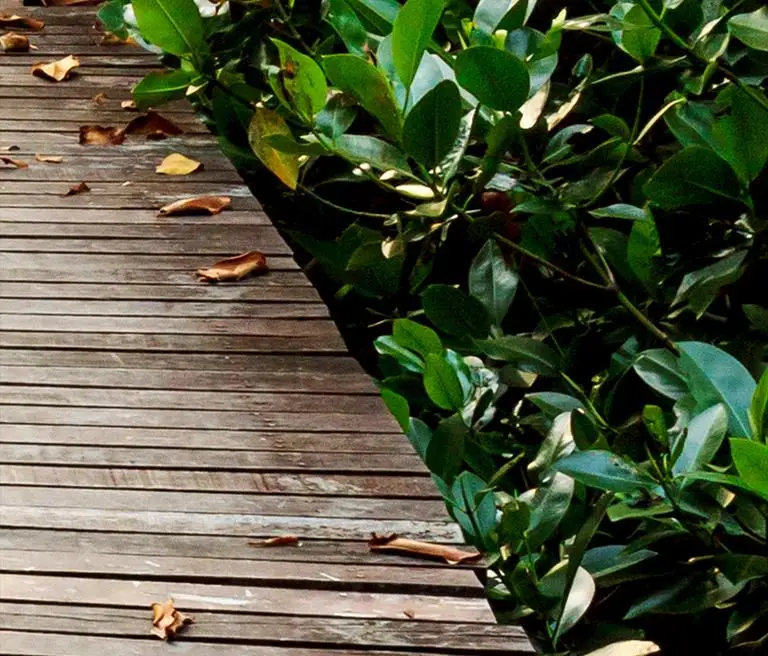 Пользовательские обои 3d полы растения листья Спальня Гостиная Ванная комната