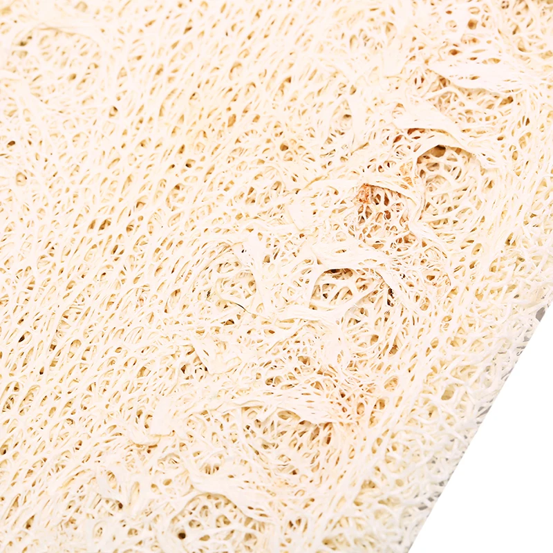 Кухонная Губка расческа противомасляная кухонная масляная губка|Губки и