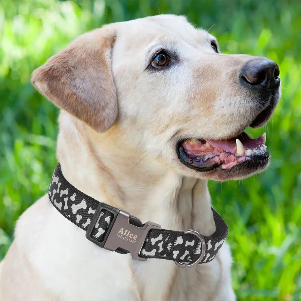 Pet dog collar personalized custom brand small Pug medium French Bulldog large luminous supplies |