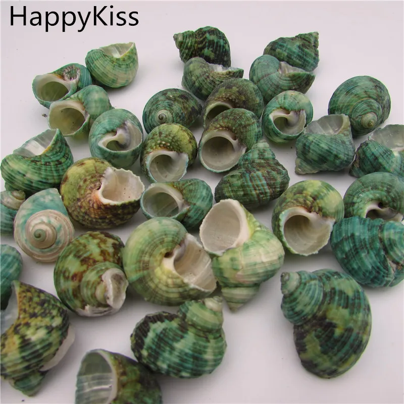 HappyKiss 5 шт./лот морской раковины из натурального ремесла | Дом и сад