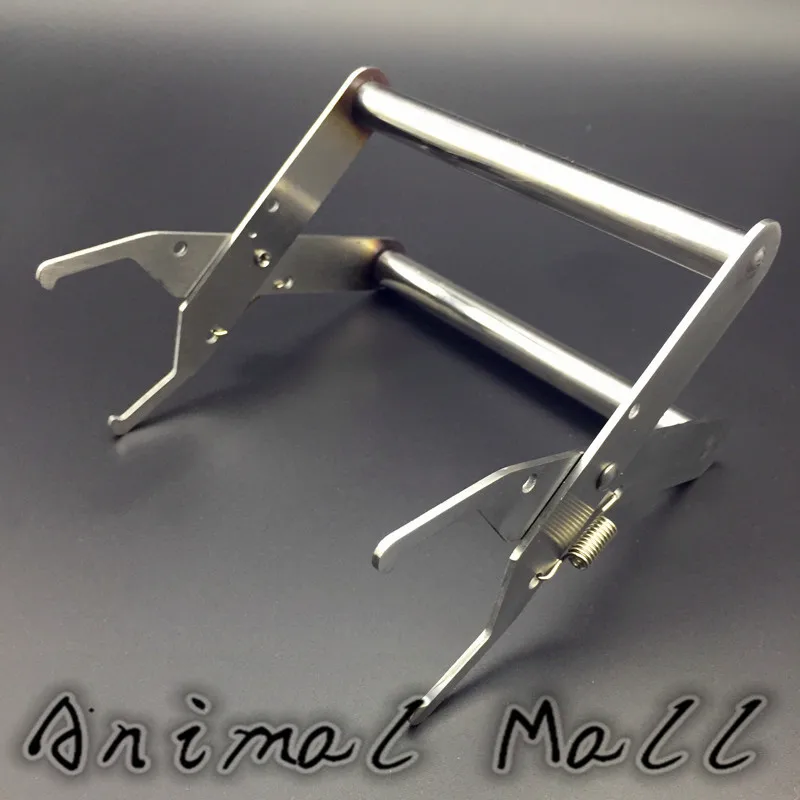 Инструменты для пчеловодства новинка высокое качество плотная коробка гнезда из