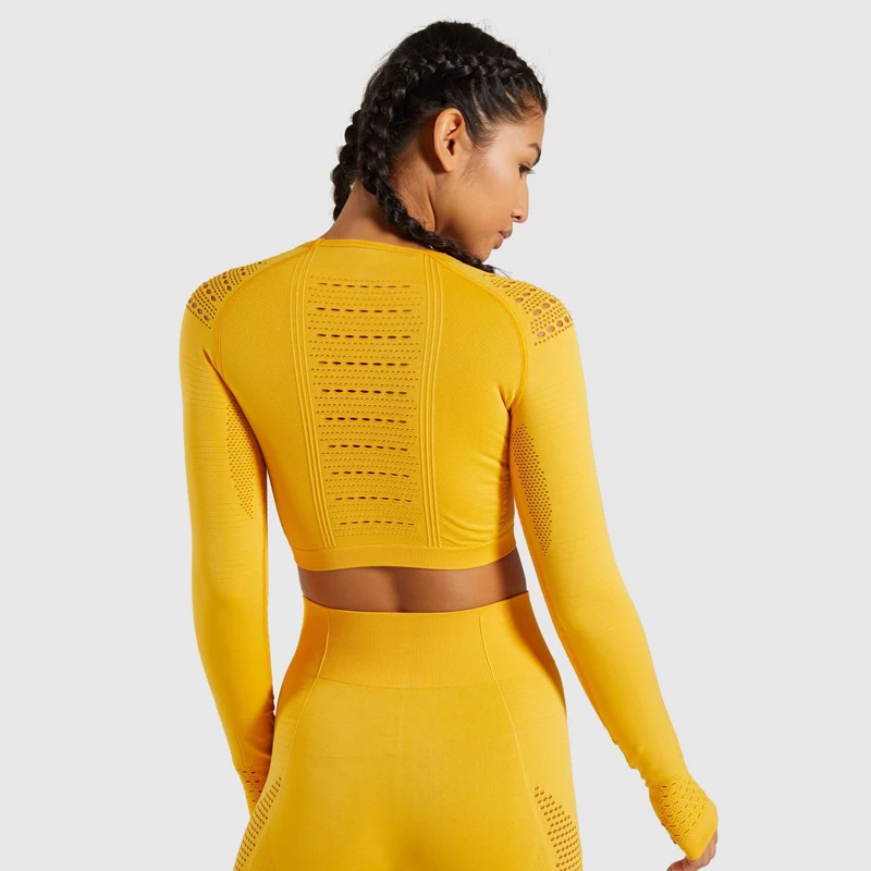 Seamless High Waist Pants And Shirts Women Sport Fitness Yoga Legging Set 2 pieces