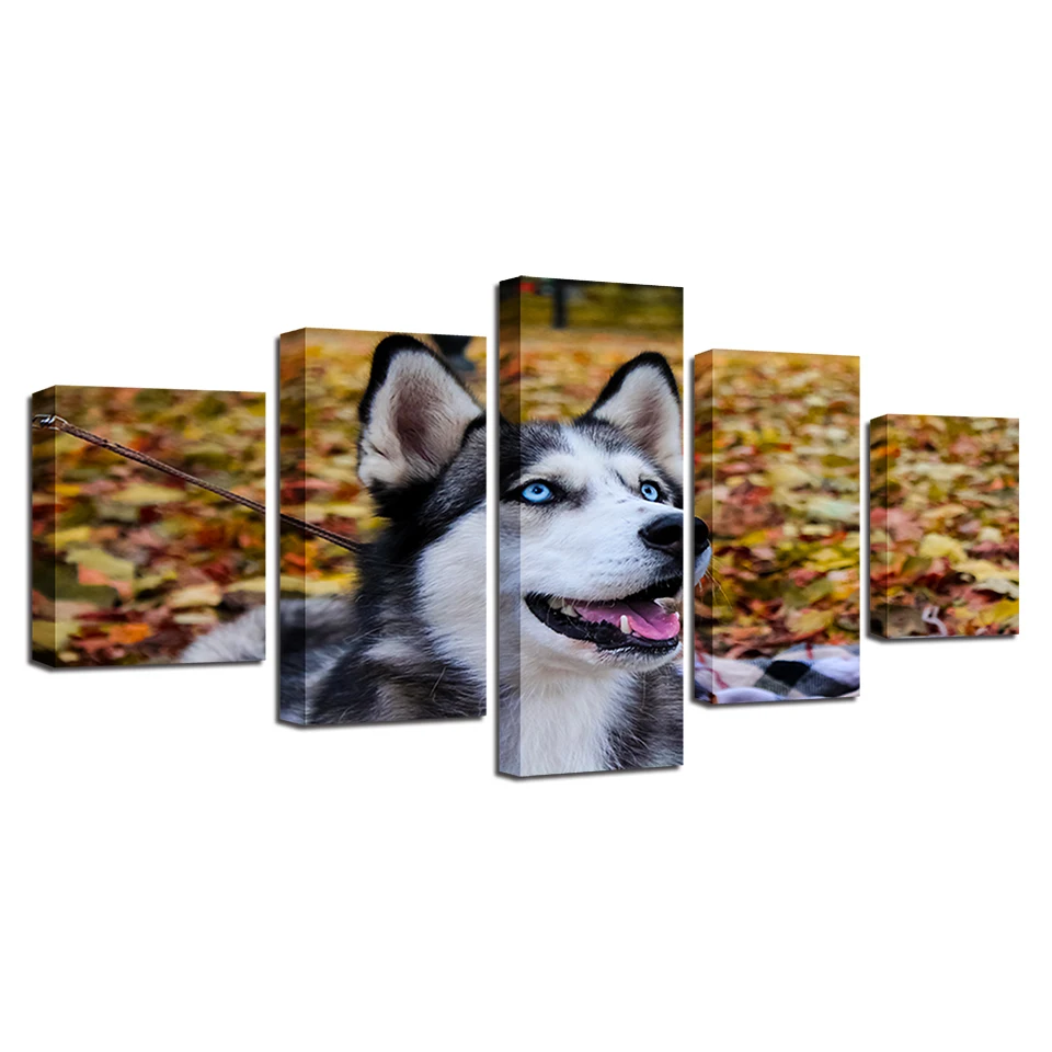 Oturma odsi Için tuval HD baskilar Resimleri Duvar sanati Çerçeve Ev dekor 5 Parça Hayvan Husky Pet Resimlerinde Mavi gézler Kero | Дом и