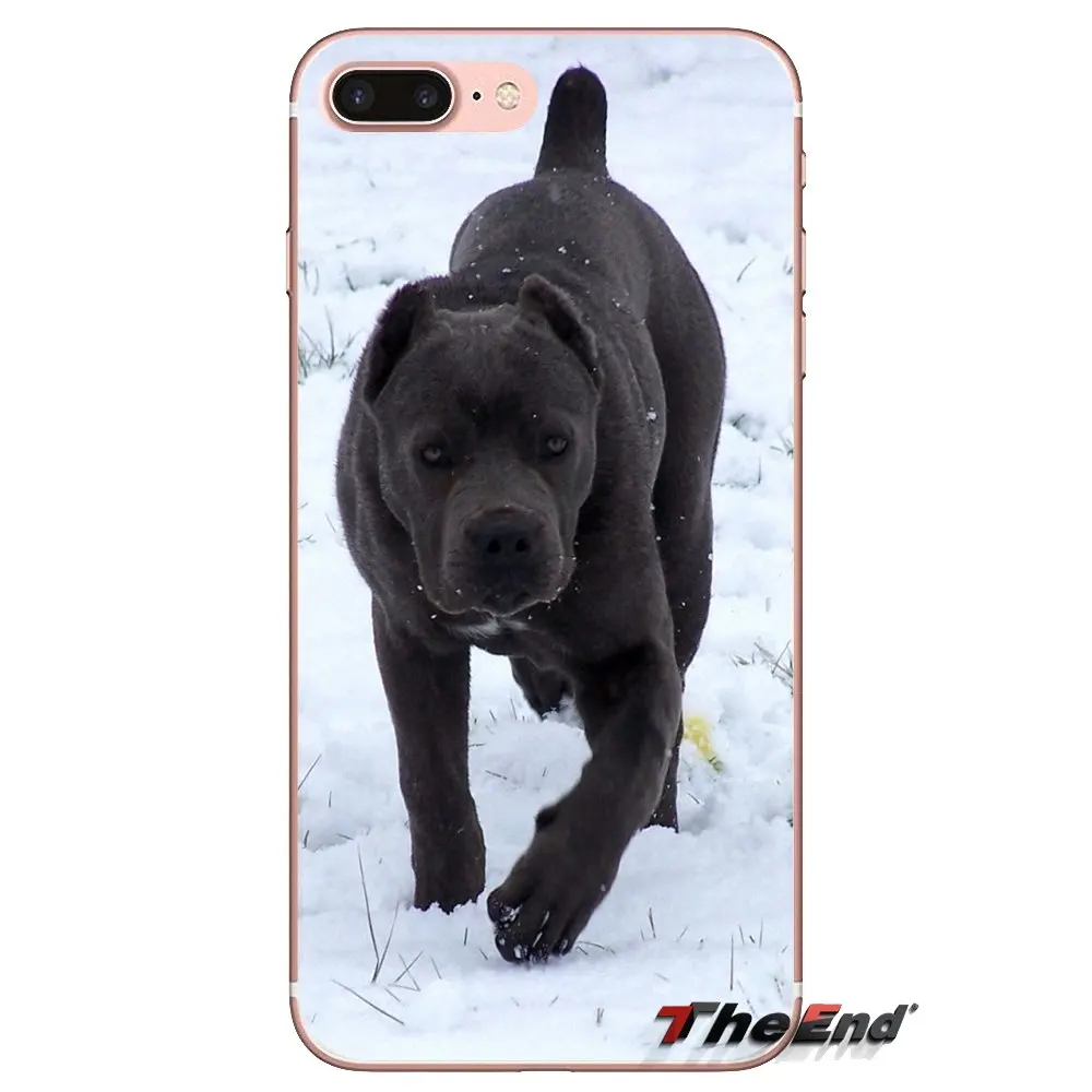Прозрачный чехол из ТПУ для iPod Touch Apple iPhone 4 4S 5 5S SE 5C 6 6S 7 8 X XR XS Plus MAX итальянские