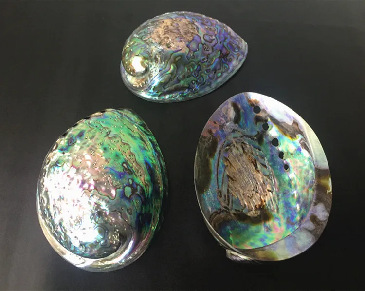 Новая Зеландия синий abalone раковина натуральный ремесло раковины украшение дома Аквариум Ландшафтный Свадебный пейзаж Decoraition 1 лот(2 шт