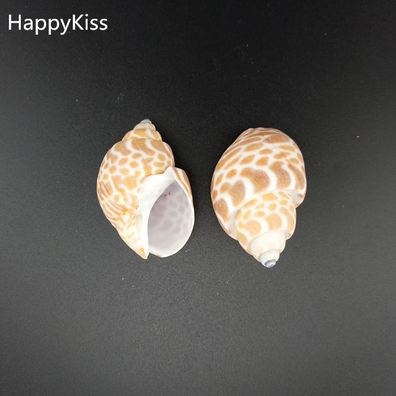 HappyKiss оригинальные натуральные раковины большие плоские шпилы винты 4 5 см
