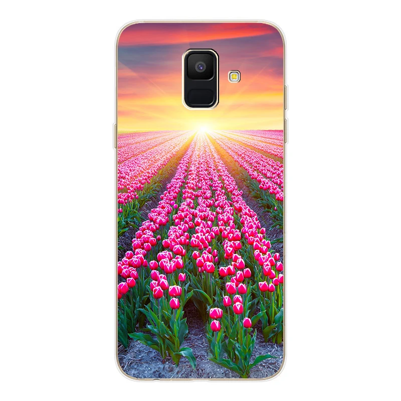 Case For Samsung Galaxy A6 Plus 2018 Cartoon Cover Soft Silicone Phone Back for A 6 600 610 Fundas Coque |