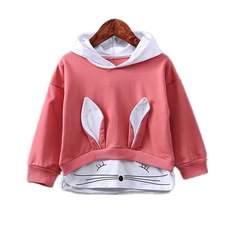 

Spring Autumn Baby Girls Hoodies and Sweatshirts Children Boys Sport T-shirts Cartoon Hooded Kids Tops BC546