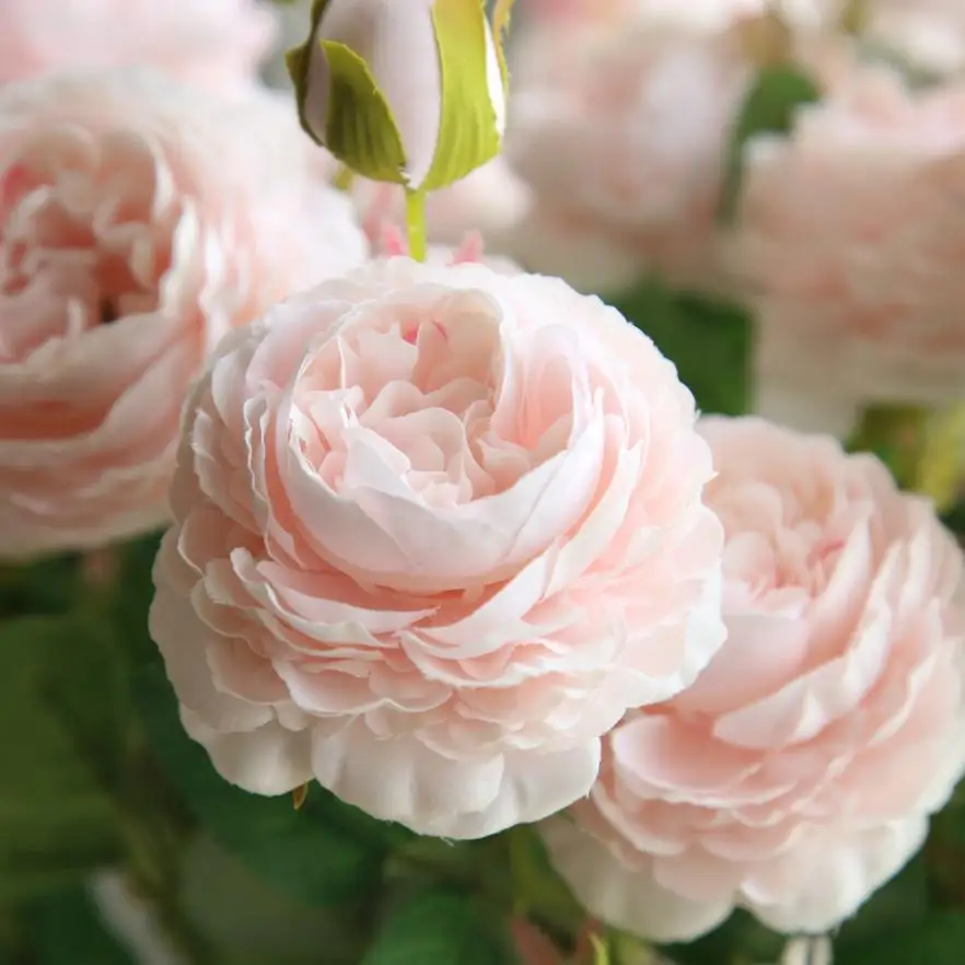 Искусственная искусственная Западная Роза цветок пиона свадебный букет Декор