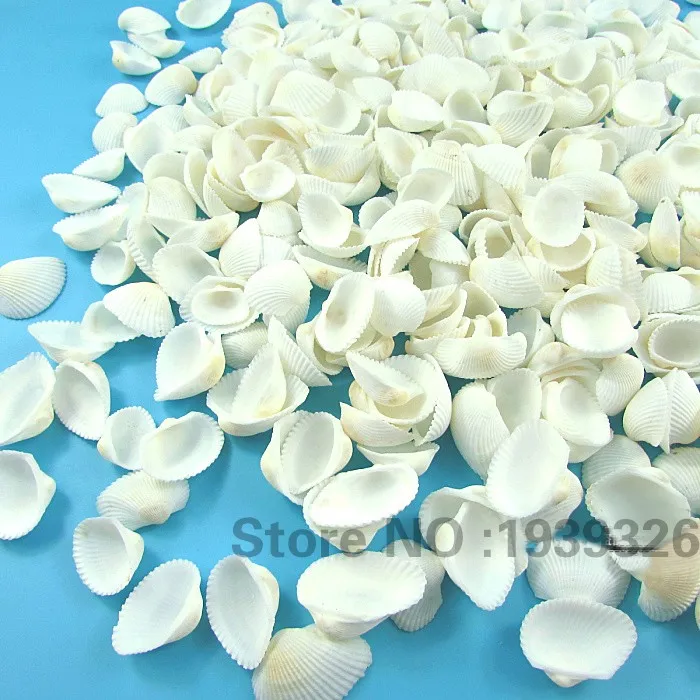 Натуральные морские раковины для пляжа украшения из органического Конча ремесло