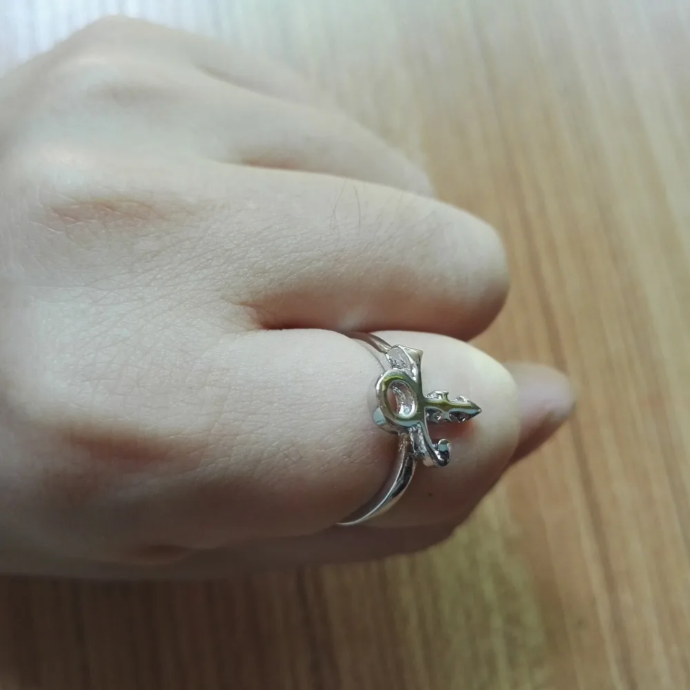 10 шт в упаковке новая модное Ювелирное Украшение с изображением животных принц