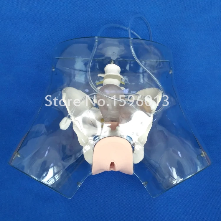 Тренажер для тренировки симулятор катетеризации модель искусственного