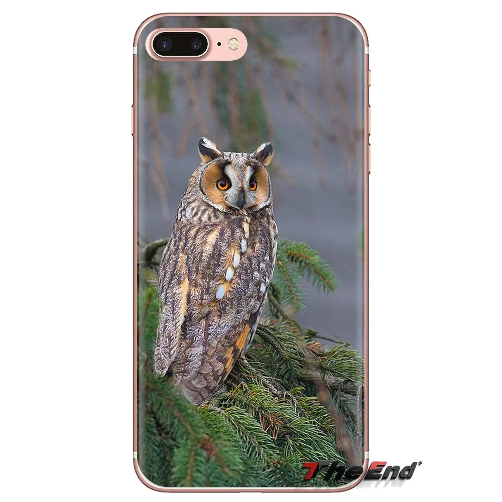 Long Eared Owl Asio otus Transparent Soft Cases Covers For Samsung Galaxy A3 A5 A7 A9 A8 Star A6 Plus 2018 2015 2016 2017 |