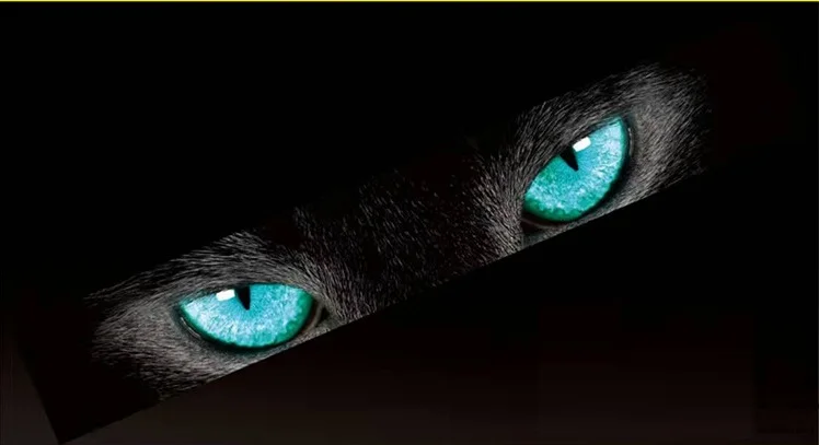 Левая сторона автомобиля наклейка и индивидуальный полосатый Автомобиль