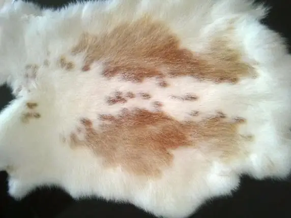 brown spot Шарф из кроличьего из натурального кроличьего меха с меховой аппликацией в виде кролика с коврик для ползания по доступной цене - Цвет: brown spot