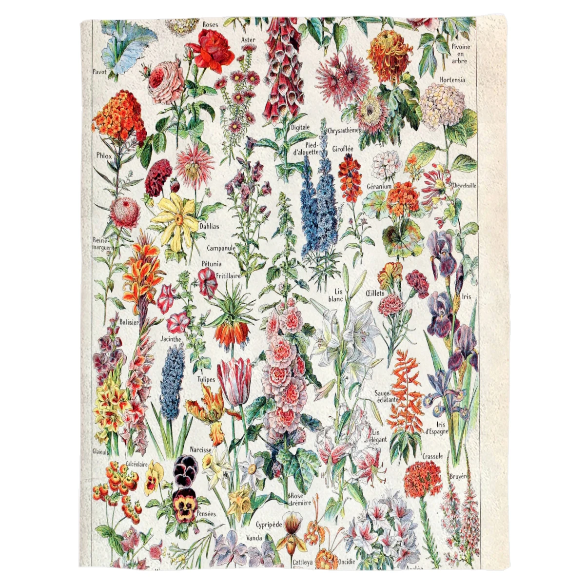 BIGHOUSES Adolphe Millot Fleurs Pour Tous французский ВИНТАЖНЫЙ ПЛАКАТ пледы одеяло теплое одеяло из микрофибры фланелевое одеяло