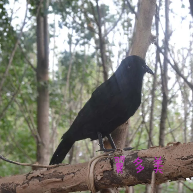 

creative black simulation crow toy plastic & furs standing crow model doll gift about 25cm 1589