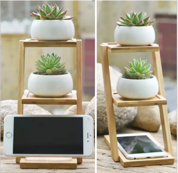Modern Minimalist White Ceramic Flowerpot Succulent 3 Bonsai Planters Pot with 3-Tier Bamboo Shelf Home Garden Decor | Дом и сад
