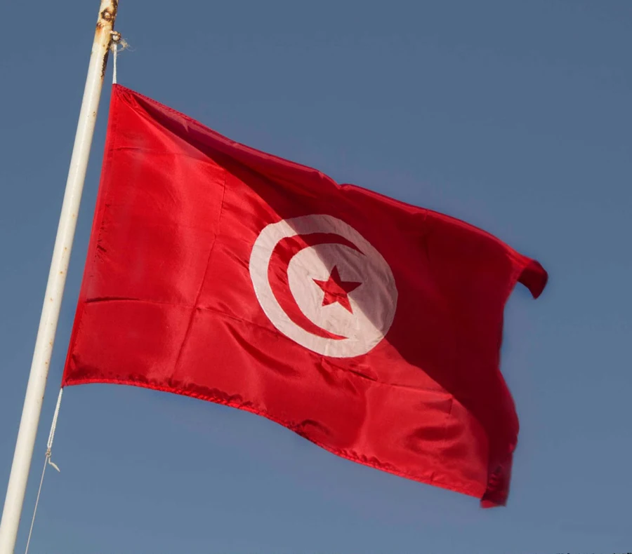 Флаг Tunisia флаг 90x150 см декоративные домашние флаги баннеры 3x5 футов Национальный