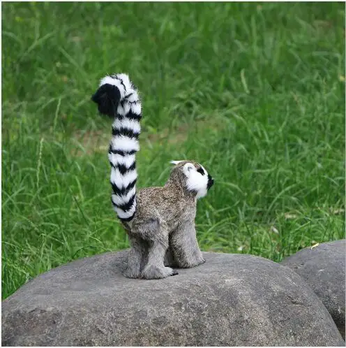 WYZHY моделирование lemur животных мех ремесла Домашнее украшение сцена макет модель