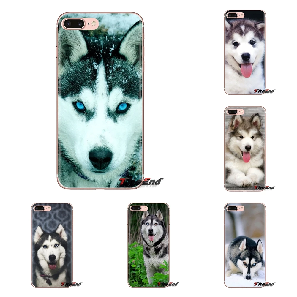 Мягкие чехлы для собак Alaskan Malamute Siberian husky Xiaomi Mi3 Samsung A10 A30 A40 A50 A60 A70 Galaxy S2 Note 2 Grand Core