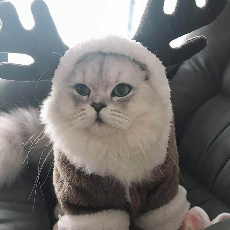 Зимняя утолщенная одежда для домашних животных котов кошек теплые флисовые