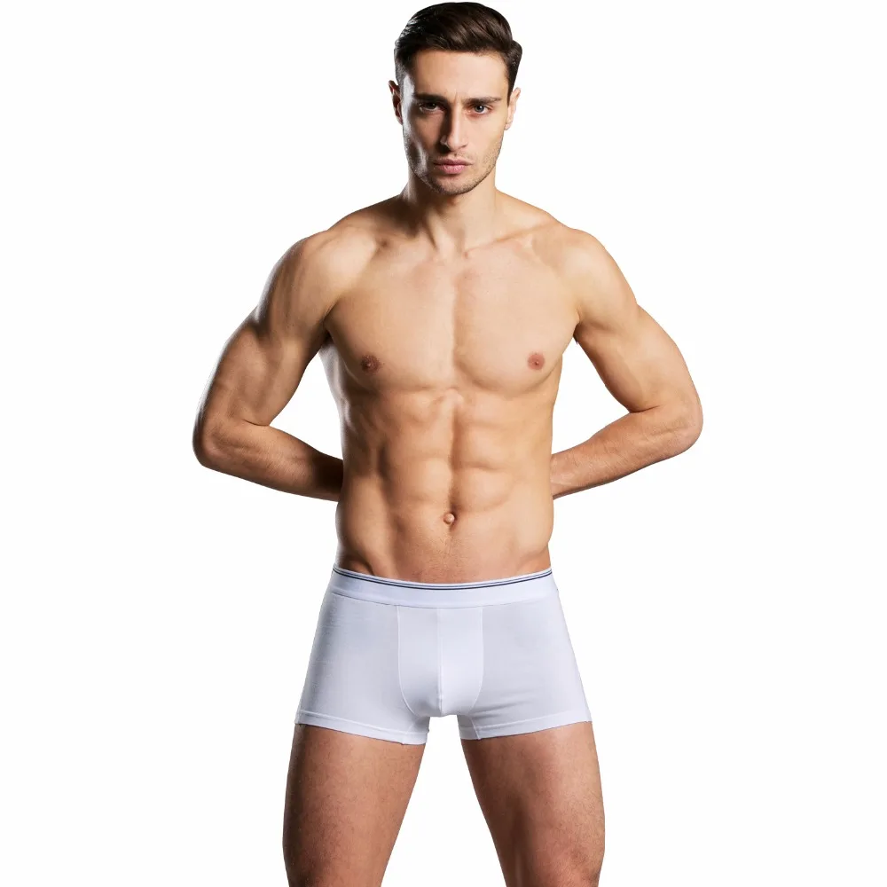 Мужское нижнее белье Классические хлопковые шорты боксеры|male underpants|brand