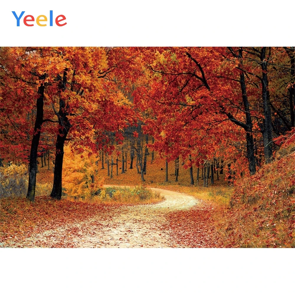 Фон для фотосъемки Yeele с изображением осеннего пейзажа кленового дерева и