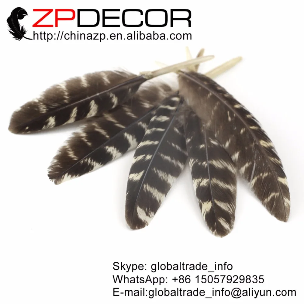 

ZPDECOR 10-15 см (4-6 дюймов) 100 шт./лот оптовая продажа Оригинальные натуральные красивые дикие турецкие перья для карнавала шоу