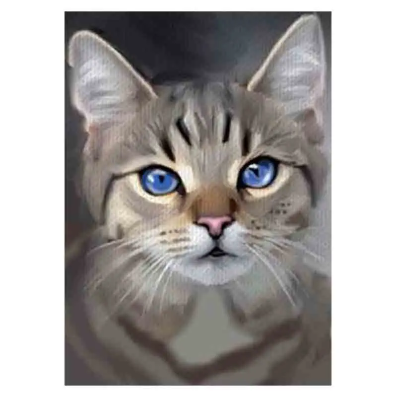 

kexinzu Full Square Round Drill 5D DIY Diamond Painting "Animal Cat" 3D Embroidery Cross Stitch Mosaic Home Decor Gift