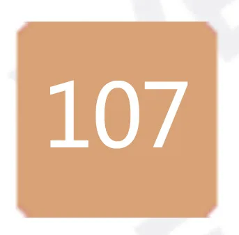 107 TouchFIVE 24 цвета тон кожи художника Маркер ручки спиртовая основа искусство маркер ручка для анимационного рисунка - Цвет: 107