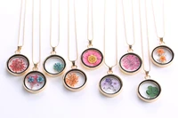 glass charms pendant necklace dried flower real dry flower round locket necklace chain necklace for women jewelry fashion