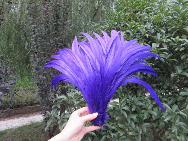 Бесплатная Доставка 100 шт./лот Разноцветные Петушиный Хвост Перо 40-45 см 16-18