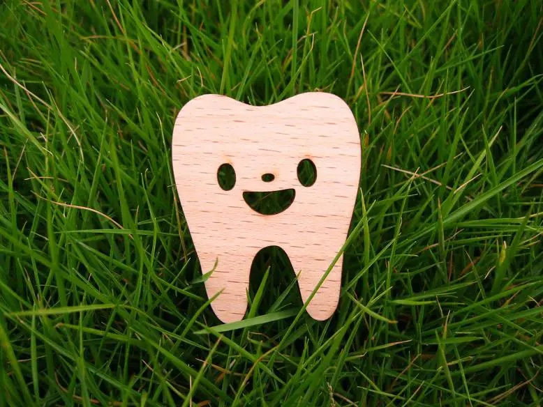 Деревянная брошь с уникальным дизайном