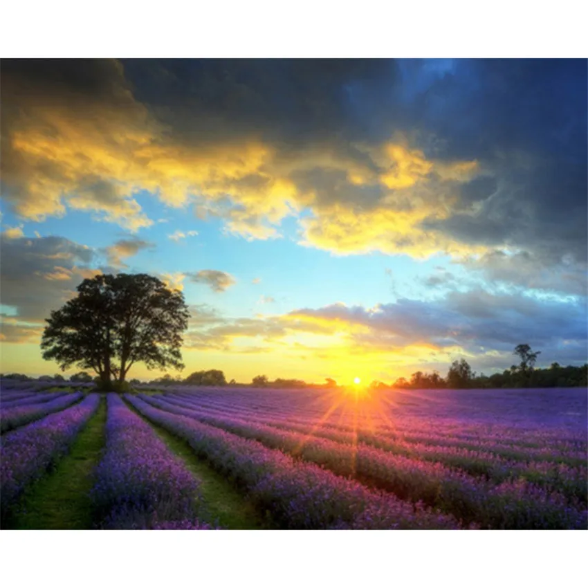 

DIY Digital Painting By Numbers Package Morning lavender oil painting mural Kits Coloring Wall Art Picture Gift frameless