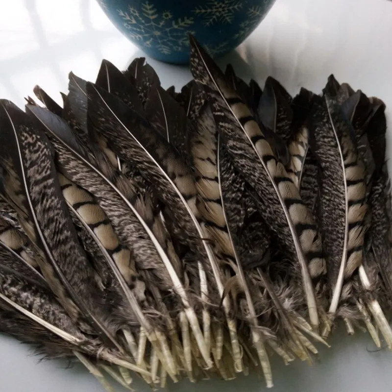 

New! Wholesale 100 pc quality natural Lady Amherst Pheasant feathers, 15-20 cm / 6-8inches, DIY jewelry decoration