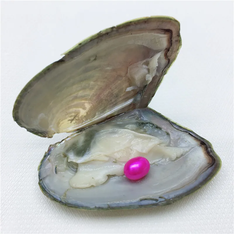 Одна бусина одна Клима Oyster пресноводный жемчуг 7 мм Жемчуг Овальный 12 цветов DIY