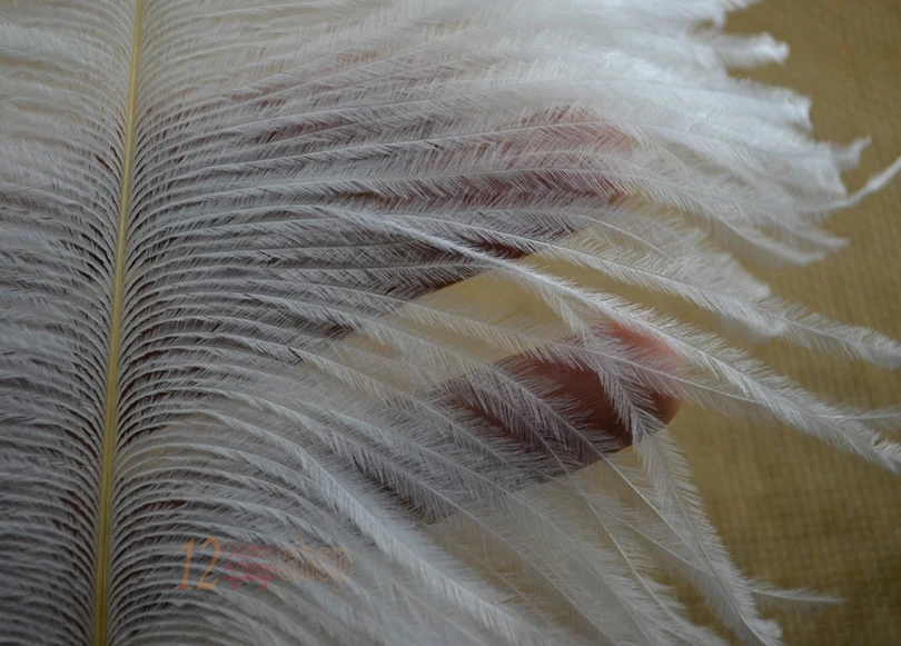 4 шт. удлиненные перья страуса 30 35 см|ostrich plume feathers|ostrich feather shawlfeather foam |