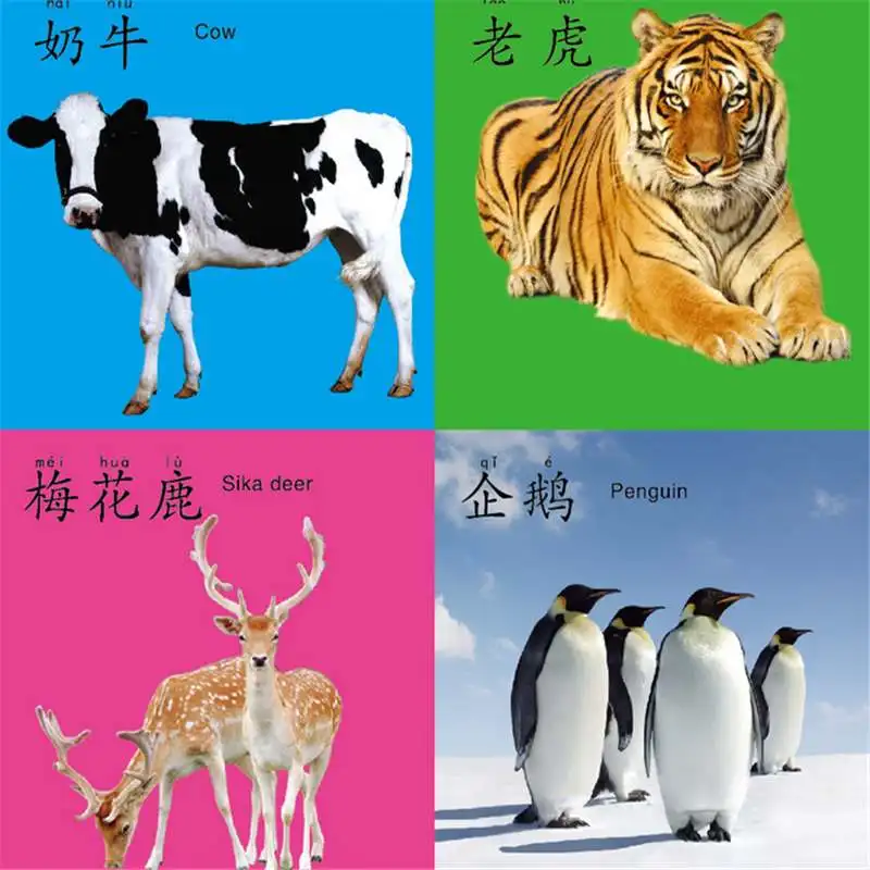 45pcs Animal 45 шт. книжка-раскраска ручка Рисование доска для рисования для детей игрушки для детей подарок на день рождения обучающая ткань книги - Цвет: 45pcs Animal